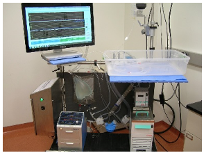 Ex-vivo work station