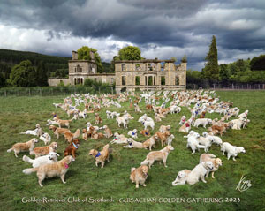 Guisachan Golden Retriever Club of Scotland